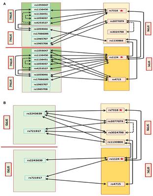 Genetic Association of Pulmonary Surfactant Protein Genes, SFTPA1, SFTPA2, SFTPB, SFTPC, and SFTPD With Cystic Fibrosis